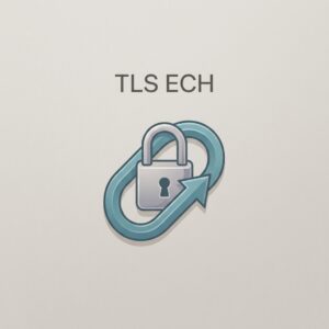 ai thumbnail minimal TLS ECH 1786094283